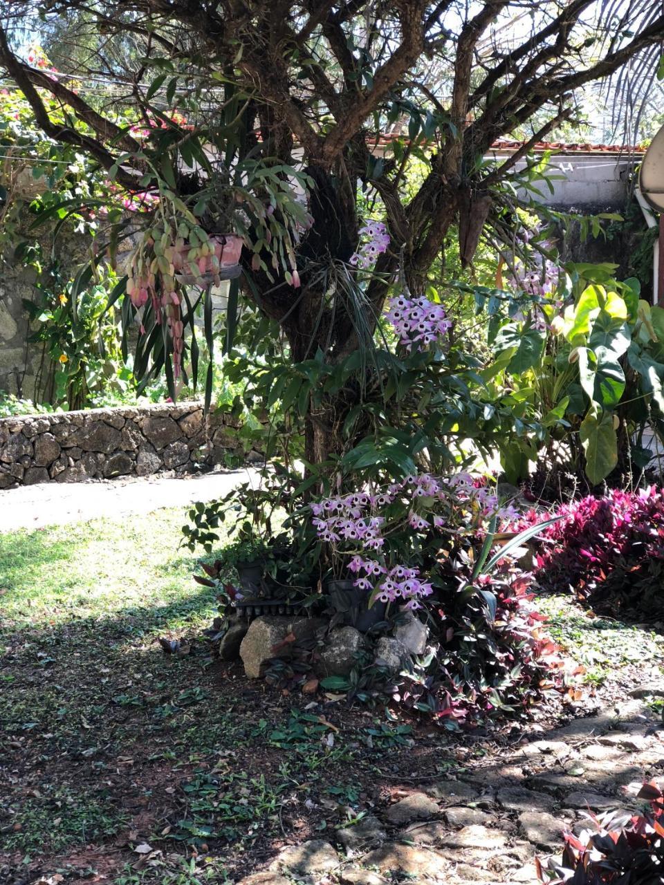Pouso Realeza Hotel ทีราเดนเจส ภายนอก รูปภาพ